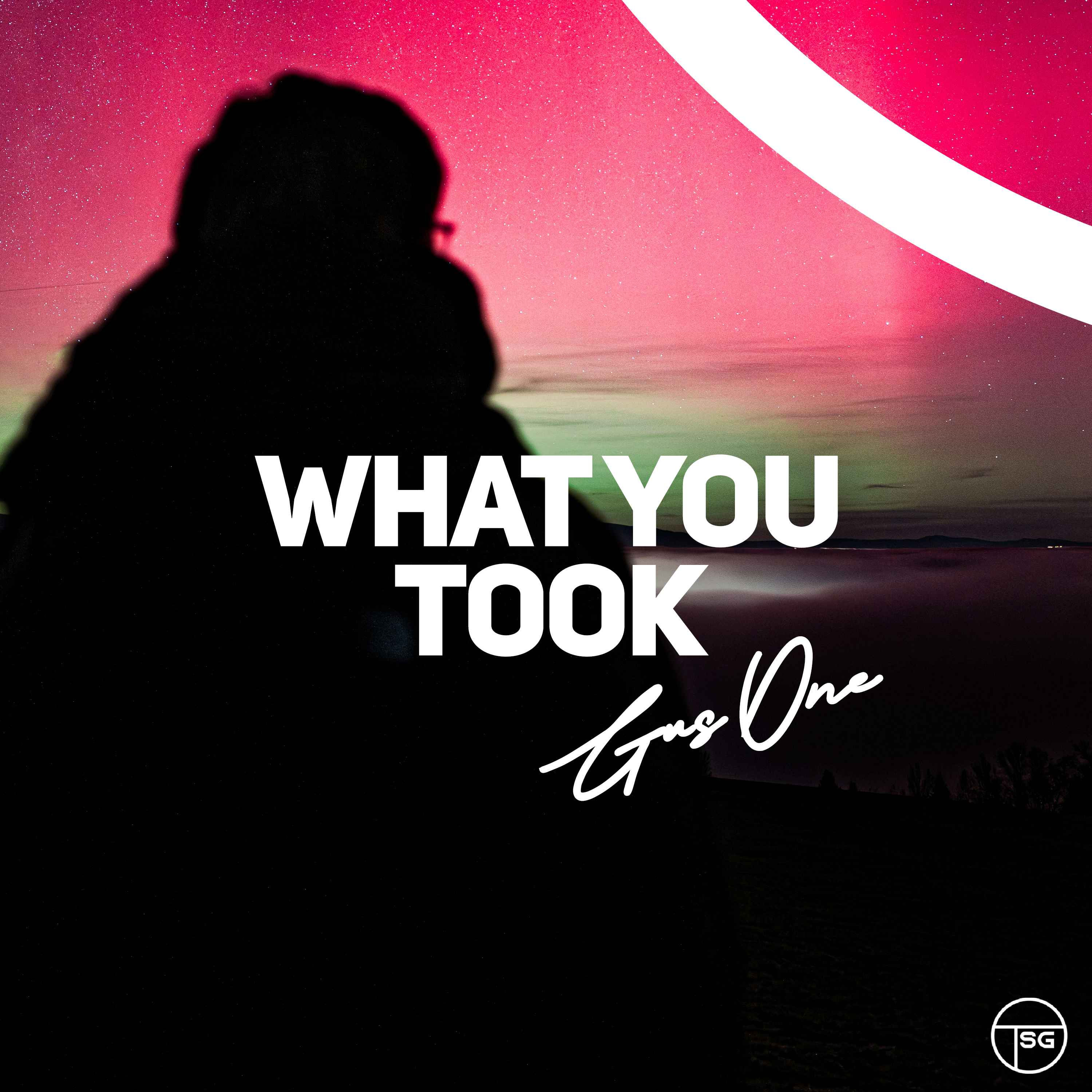 What You Took by Gus One cover art