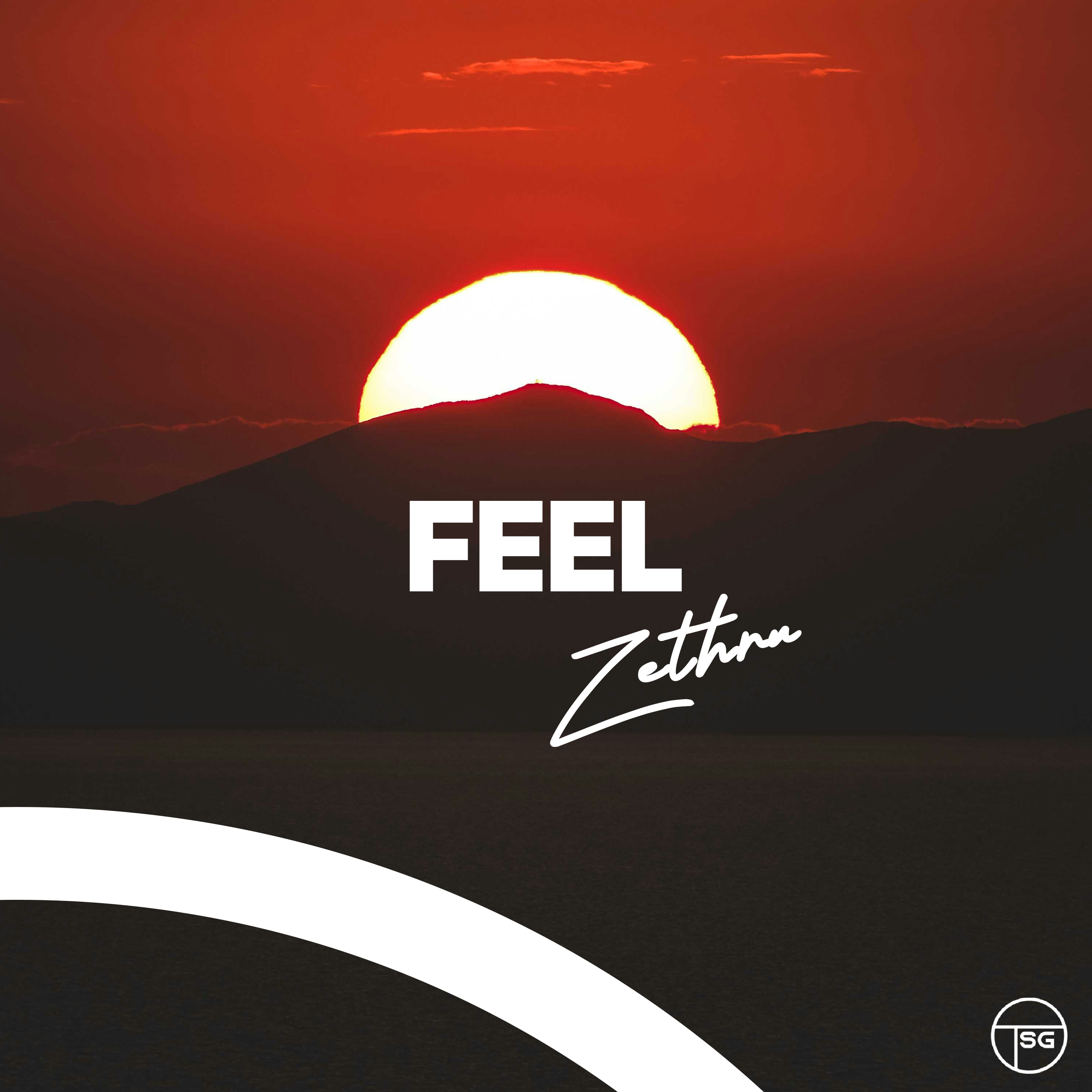 Feel by Zethru cover art