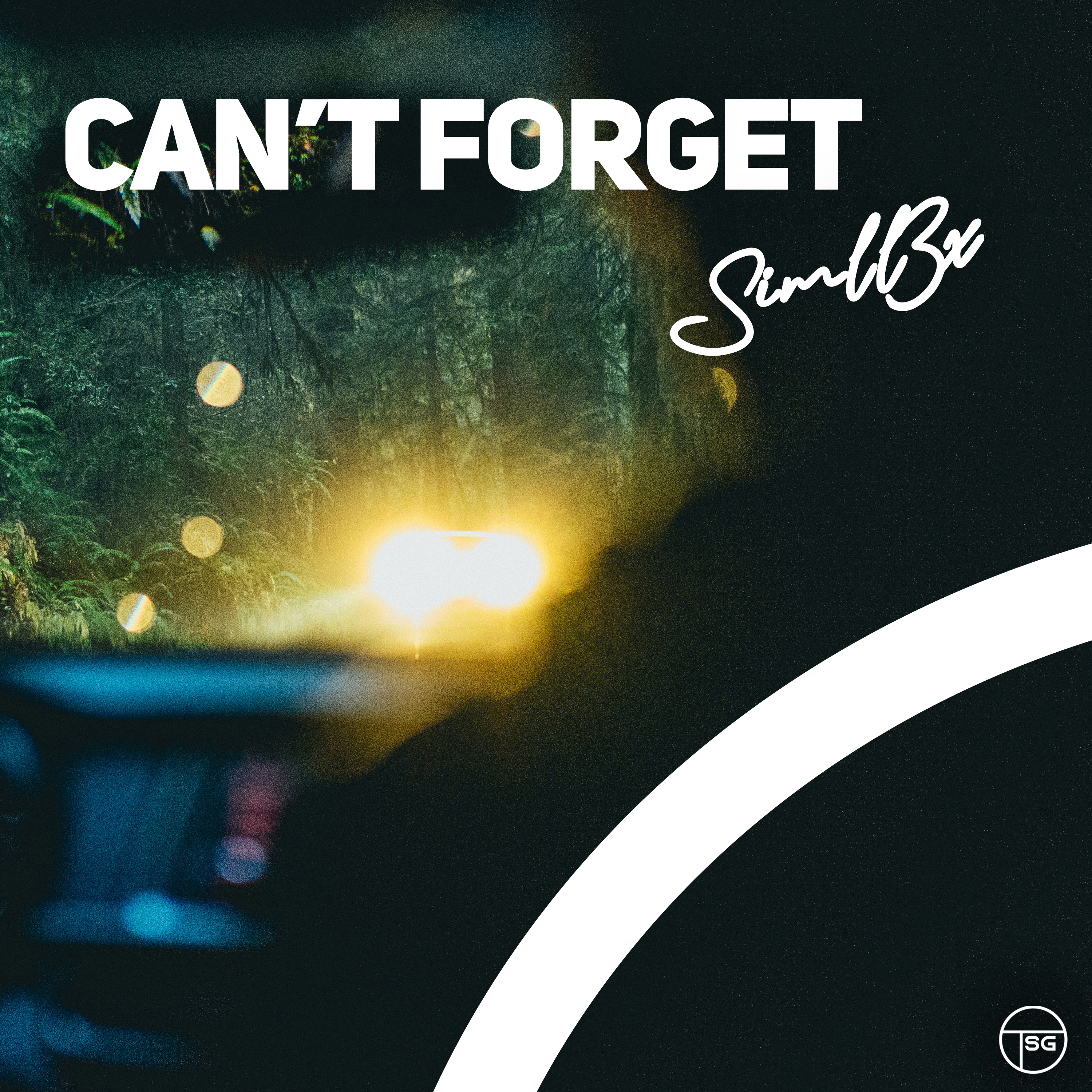Can't Forget by Simll3x cover art